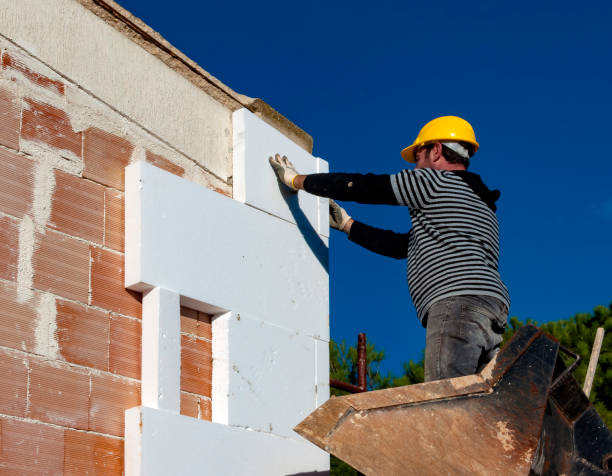 Best Residential Insulation in Palatine, IL