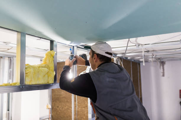 Best Energy Efficiency Insulation in Palatine, IL