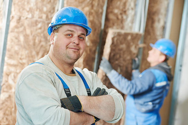 Best Residential Insulation in Palatine, IL
