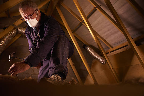 Best Commercial Insulation in Palatine, IL